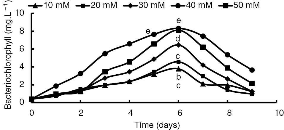 Figure 1: Growth (bacteriochlorophyll) of the PNS (Rhodopseudomonas sp. TUT, Rh1) at different concentrations of lactate. Values were recorded at 24-h intervals throughout the growth period of 9 days on RÄH medium at 30°C±1 under light intensity provided by a tungsten lamp (3000 lux).