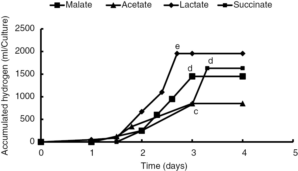 Figure 2: Accumulated hydrogen of the PNS Rh1 (Rhodopseudomonas sp. TUT) under malate, acetate, lactate and succinate as different C-forms.