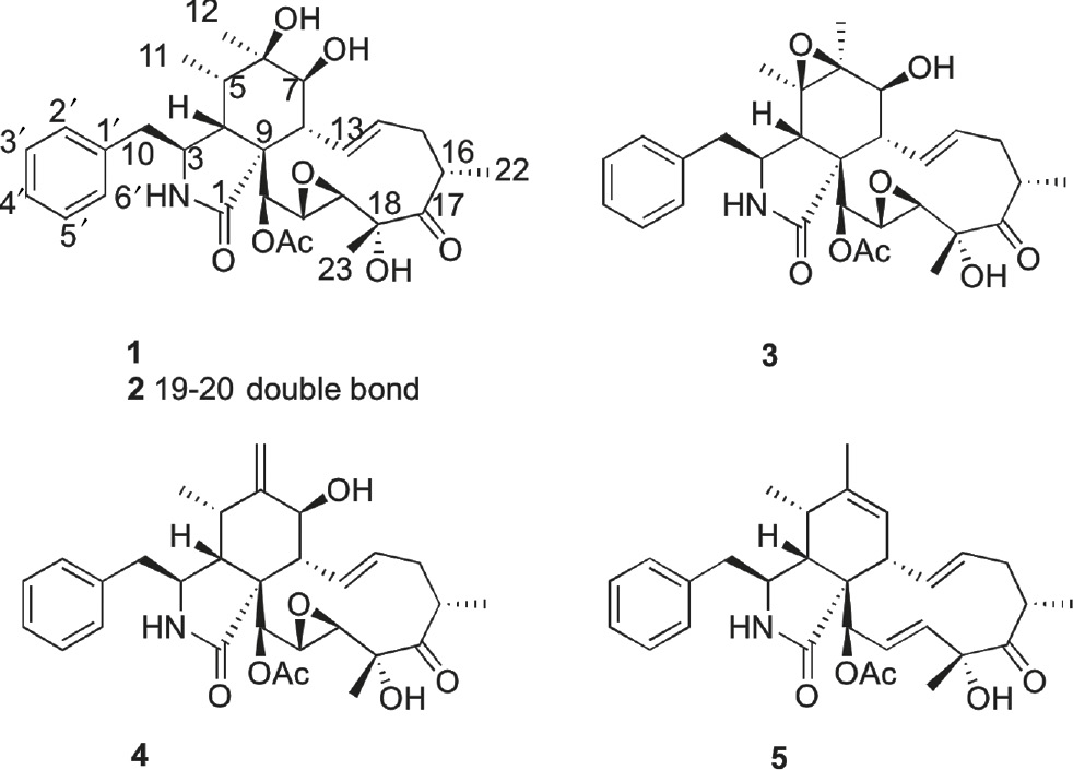 Figure 1: Structures of compounds 1–5.