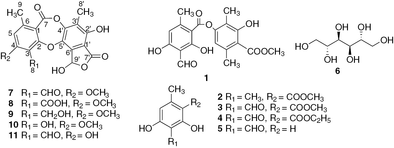 Figure 1: Compounds isolated from Stereocaulon montagneanum lichen thalli.