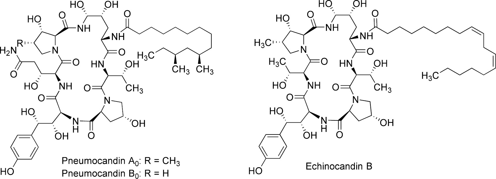 Figure 1: Examples of echinocandin structures. An overview of all compounds and their producer strains can be found in Tables 6 and 5, respectively.