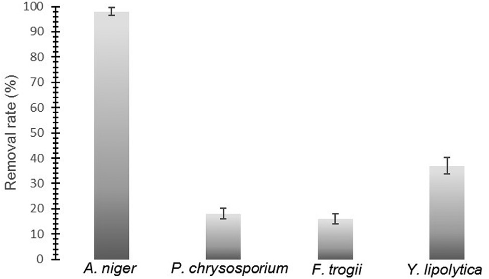 Figure 1: Naproxen removal capabilities of A. niger, P. chrysosporium, F. trogii, and Y. lipolytica (After 48 h incubation).