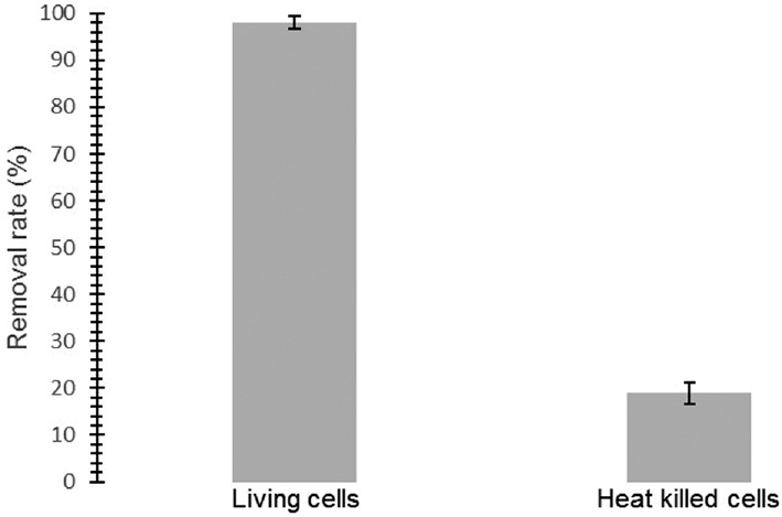 Figure 2: Naproxen removal rates for living and heat-killed Apergillus niger cells.