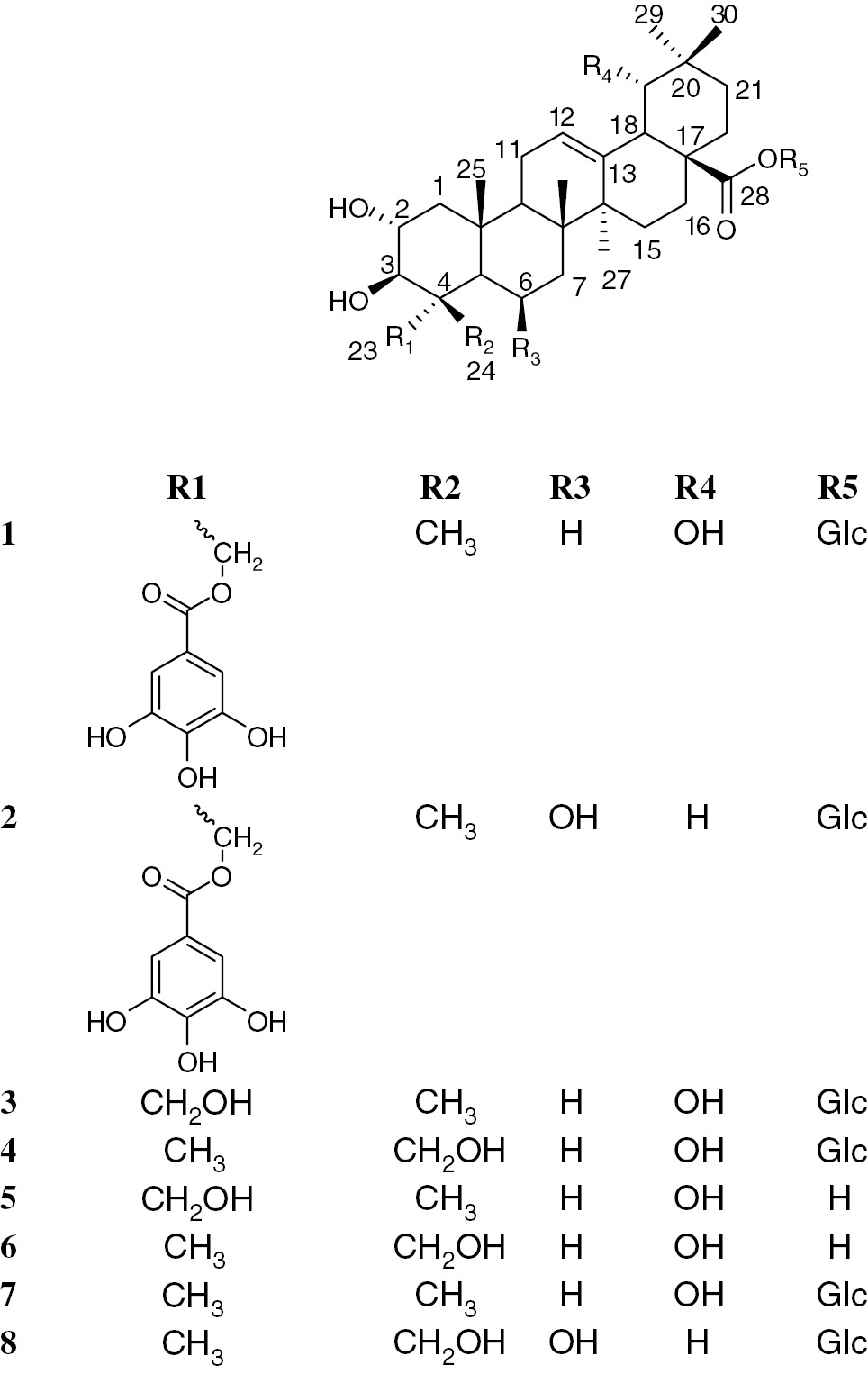 Figure 1: Structures of isolated triterpenes from Terminalia glaucescens.