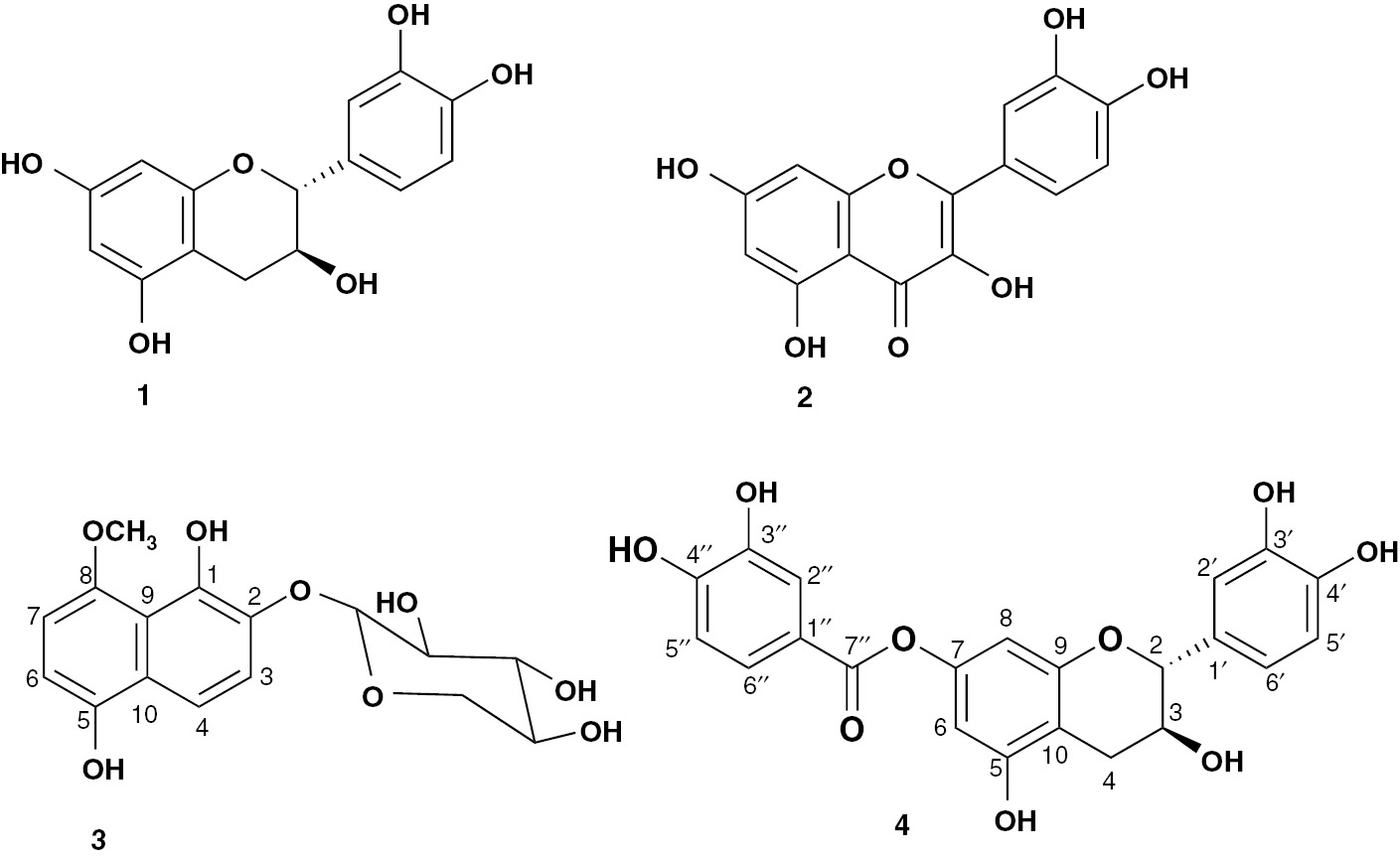 Figure 1: Structure of isolated compounds 1–4.