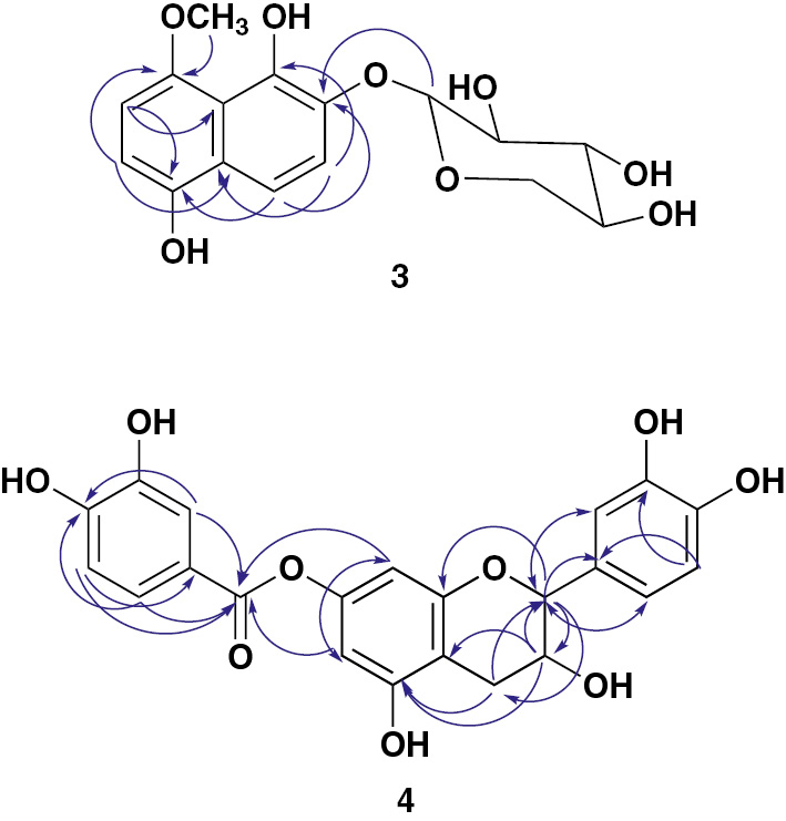Figure 2: Some key HMBC correlations of 3 and 4.