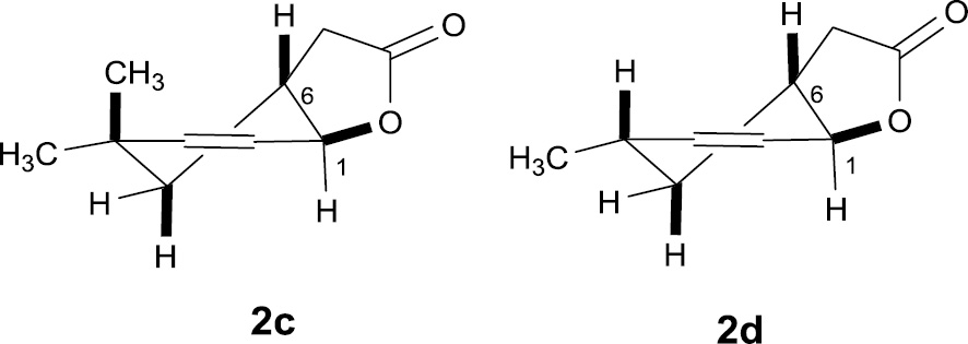 Figure 3: Structures of lactones (2c) and (2d).
