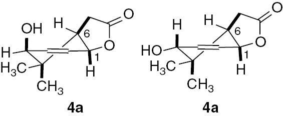 Figure 5: Structure of hydroxylactone (4a).