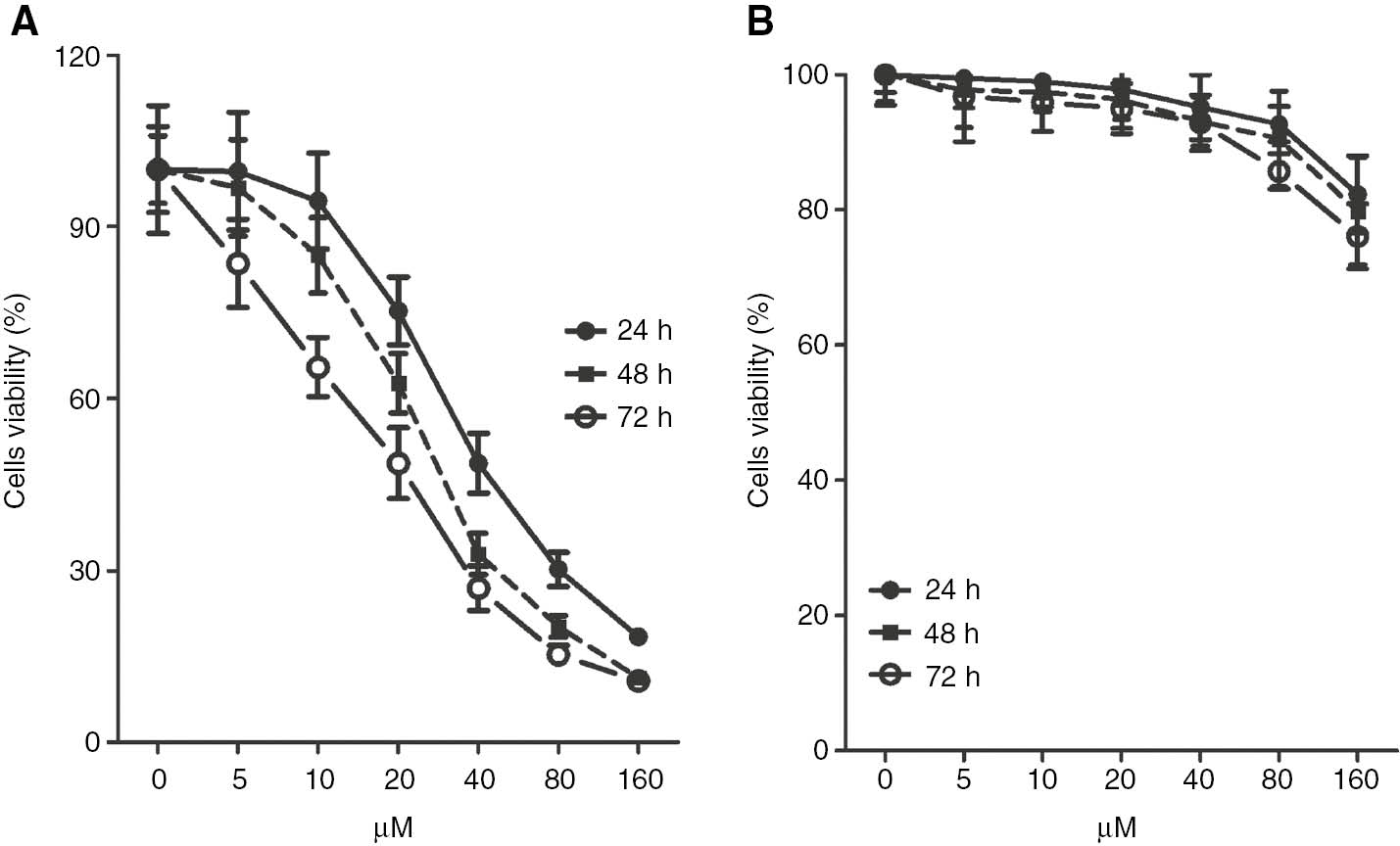 Figure 1: Effects of ginkgetin on the proliferation of K562 cells and PBMCs.(A) K562 cells. (B) PBMCs. K562 cells and PBMCs were treated with increased concentrations of ginkgetin. Cell viability is expressed as percentages of survival to vehicle controls. The data are shown as mean±SD, n=3. Drug concentration resulting in 50% inhibition of growth (IC50) was determined on the basis of the nonlinear regression analysis from survival curves.