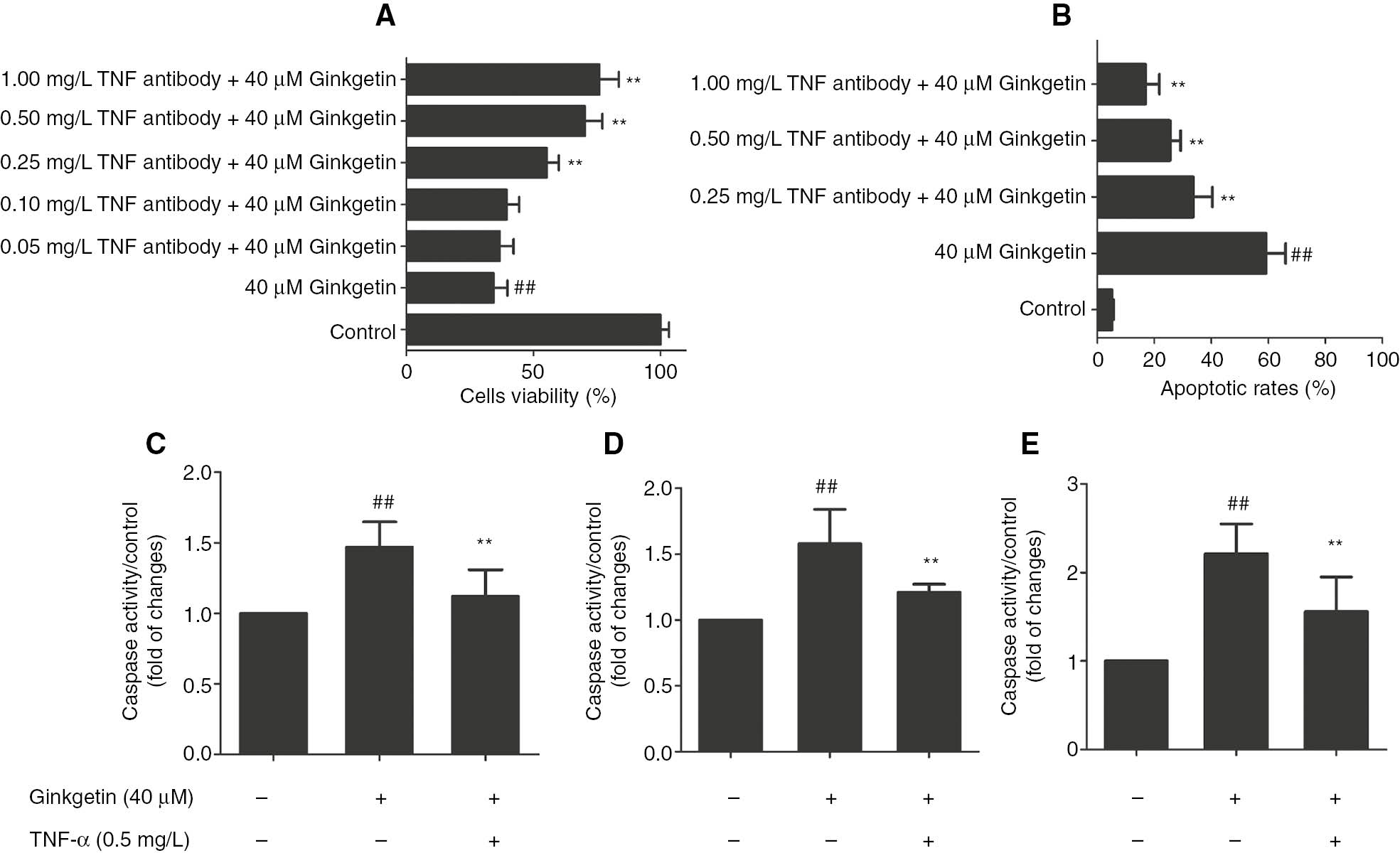 Figure 4: Effects of TNF-α-neutralizing antibody on the growth of ginkgetin-treated K562 cells.(A) Viability of K562 cells was measured by MTT assay. (B) Apoptosis rates of K562 cells were measured by DAPI/TUNEL staining. (C) Caspase-3, (D) caspase-8 and (E) caspase-9 activities of K562 cells. The data are shown as mean±SD, n=3. ##P<0.01 as compared to control; **P<0.01 as compared to ginkgetin.