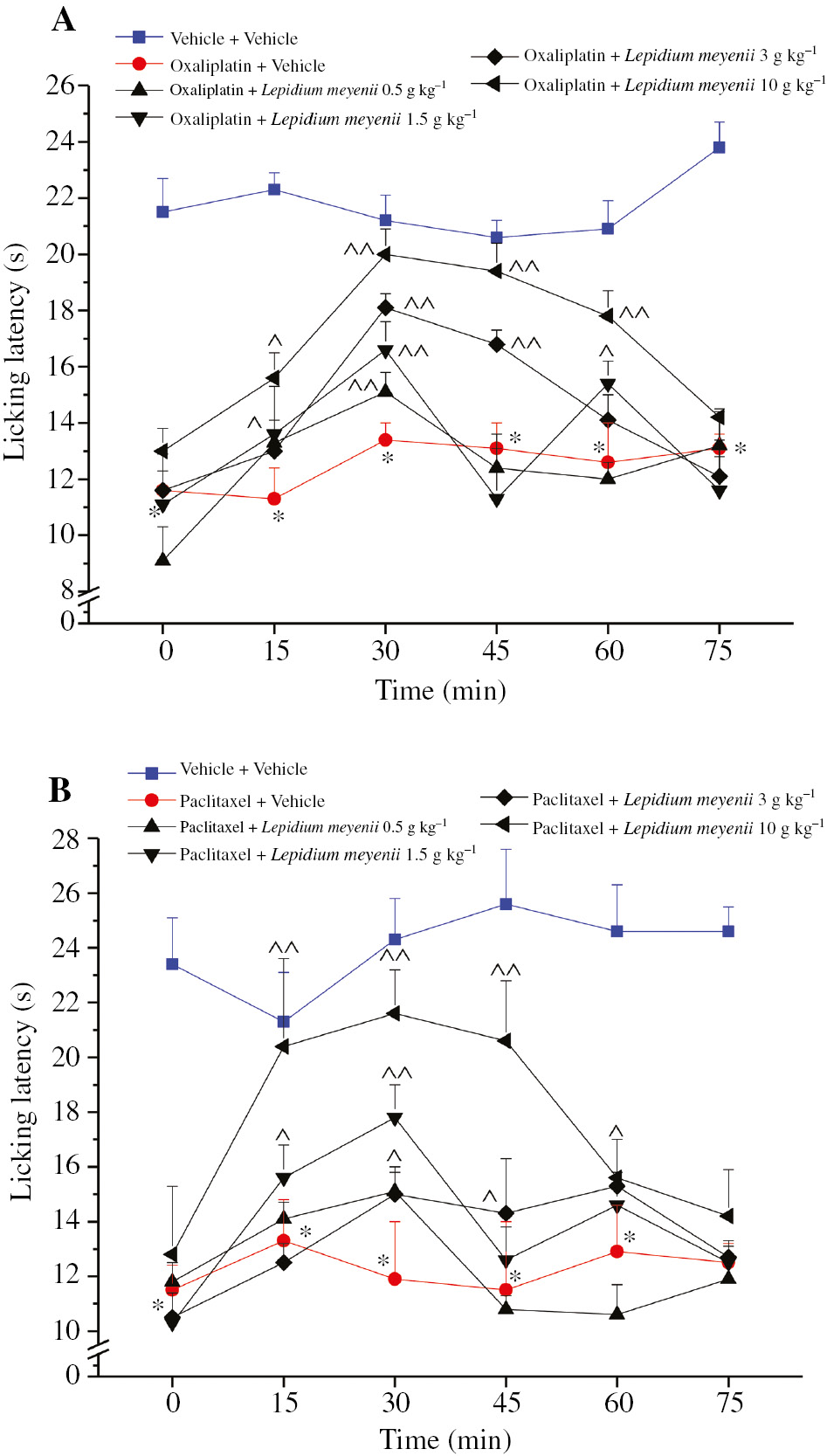 Figure 3: Chemotherapy-induced neuropathic pain.(A) Oxaliplatin-induced neuropathic pain. Mice were treated i.p. daily with 2.4 mg kg−1 oxaliplatin. (B) Paclitaxel-induced neuropathic pain. Mice were treated i.p. (on days 1, 3, 5, and 7) with 2 mg kg−1 paclitaxel. The response to a thermal non-noxious stimulus was evaluated by cold plate test. Behavioral test was performed on day 14. Before and after L. meyenii extract (0.5–10 g kg−1) p.o. administration. n=10; *P<0.05 versus vehicle+vehicle; ^P<0.05 and ^^P<0.01 versus oxaliplatin+vehicle; ^P<0.05 and ^^P<0.01 versus paclitaxel+vehicle.