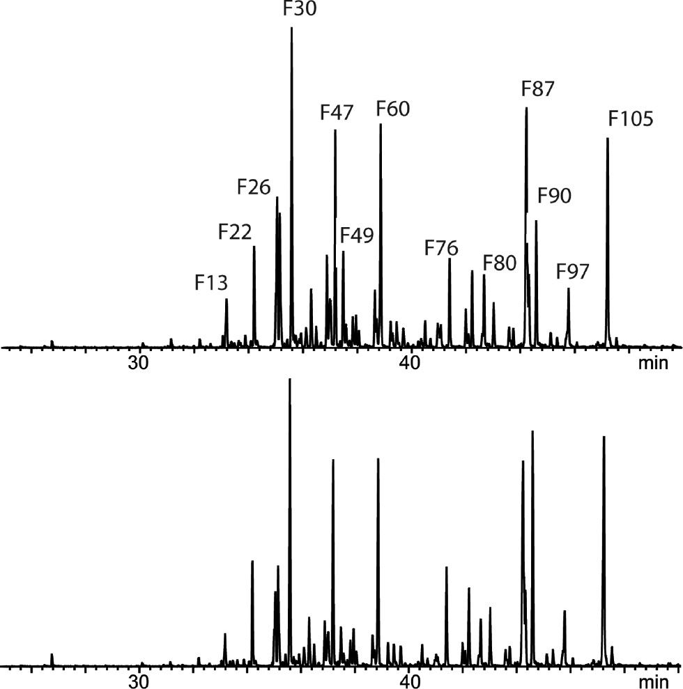Figure 7: Fatty acids detected in scent gland secretions of male M3 (upper trace) and female F1 (lower trace) Loxocemus bicolor. The extract was methylated to convert acids into methyl esters. The ion trace m/z 74, characteristic for methyl esters of fatty acids, is shown to exclude other compounds.