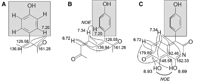 Figure 2: Selected HMBC and NOE correlations in ascidine A (1).