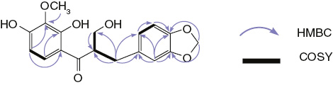 Figure 2: Selected HMBC and 1H-1H COSY correlations for compound 1.