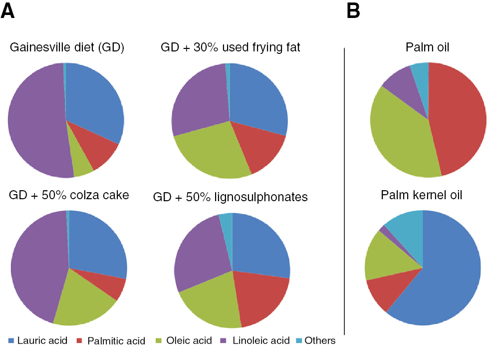 Figure 6: Feeding experiment regarding the influence of protein, fat and lignosulfonate intake on the fatty acid composition of H. illucens larvae in comparison to standard Gainesville diet (30% lucerne meal, 50% wheat bran, 20% corn meal which amounts to 15.3% protein, 3.8% fat, 12.6% fiber and 6.3% ash). (A) Effect of modified diets on fatty acid composition. (B) Data for reference oils (https://ndb.nal.usda.gov/ndb/).
