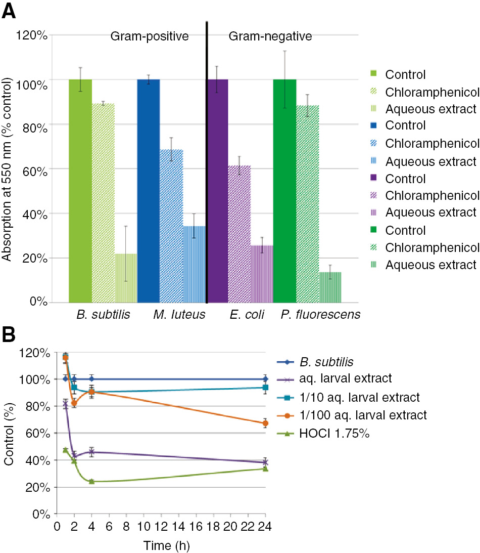 Figure 8: Effect of aqueous H. illucens larval extracts on microbial biofilms. (A) Antimicrobial effect of aqueous H. illucens larval extracts (28 mg larvae/well) and chloramphenicol (40 μg/well) to bacterial biofilms. Biofilm reduction was visualized by absorbance measurement at 550 nm. (B) Time-resolved degradation of B. subtilis biofilms treated with several dilutions of aqueous H. illucens larval extract (130 mg larval equivalent) and 1.75% hypochlorous acid (control) (n=9).
