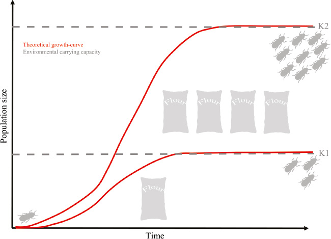 Figure 2: The population growth, measured as population density, does not scale linearly with an increasing environment (flour sacks). If the environment becomes four times larger, population size only becomes three times larger due to intraspecific competition for resources and the spreading of infections. Adapted and modified from Park [105].