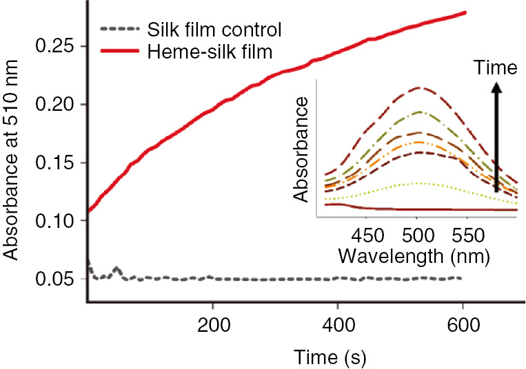 Figure 8: Catalytic activity of a heme b-AmelF3 film.Coupling of phenol to 4 amino-antipyrine gives a coloured quinone. The inset shows the change in the solution UV/vis spectrum over time. Reprinted and adapted from [100] under Creative Common Licence.