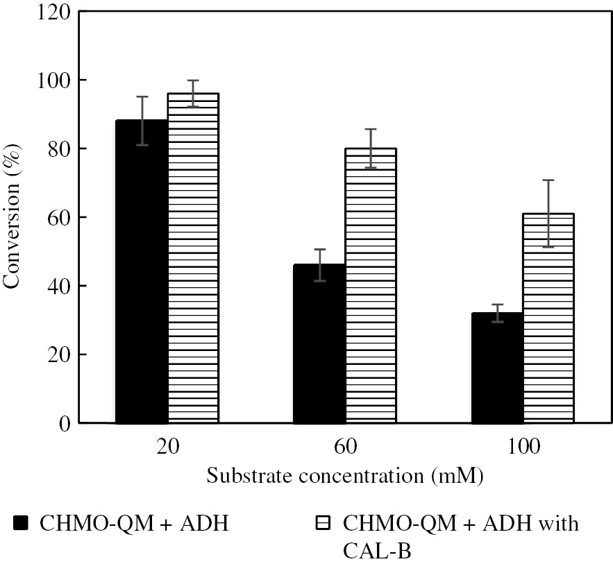 Figure 1: Comparison of the conversion of cyclohexanol with (striped bars) and without (solid bars) CAL-B. The 10 mgWCW of  E. coli co-expressing ADH and CHMO was added to 10 mL sodium phosphate buffer (20 mM, pH 7.5). For the biocatalysis with CAL-B, 20 mg lyophilized CAL-B was added in each reaction. The reaction was started by adding 20, 60 or 100 mM 1. The reaction vessel was closed with a breathable membrane to ensure oxygen supply and incubated at 30 °C and 180 rpm. The reaction was performed in triplicates.
