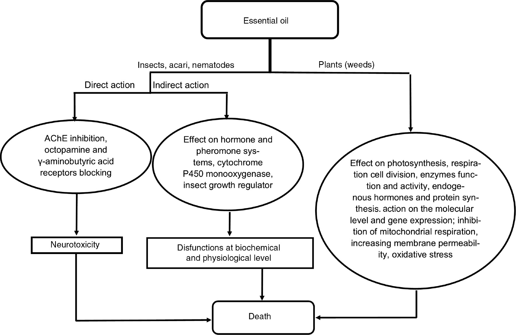 Figure 3: General pathways of EOs’ pesticide action (adapted from Mossa [18], Benvenuti et al. [86], and El-Hadary and Chung [116]).