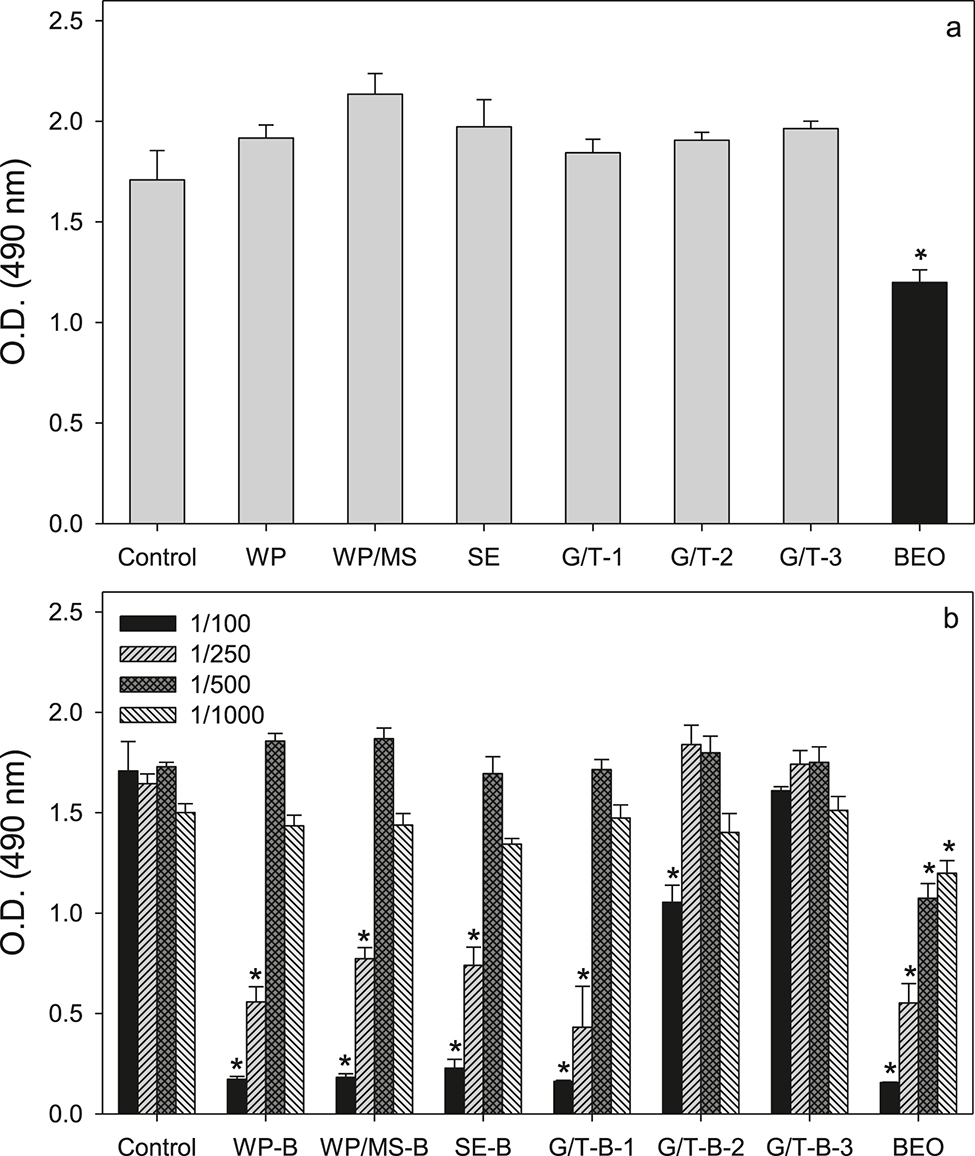 Figure 3: Caco-2 cell viability expressed as optical density (O.D.) at 490 nm of the cells in the culture media, after treatment for 48 h with (a) different blank nanoemulsions and (b) BEO nanoemulsions at varying the dilution level, in comparison with pure BEO. Asterisks denote statistically significant differences (p < 0.05) with the control.