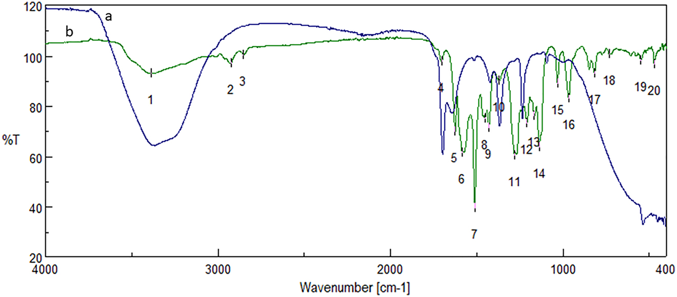 Figure 2: 
FTIR spectrum of c-AgNPs (a) and curcumin (b). Spectral values of curcumin, 1: 3387, 2: 2923, 3: 2851, 4: 1703, 5: 1625, 6: 1584, 7: 1510, 8: 1450, 9: 1429, 10: 1372, 11: 1280, 12: 1208, 13: 1165, 14: 1137, 15: 1030, 16: 966, 17: 816, 18: 730, 19: 549, 20: 470.