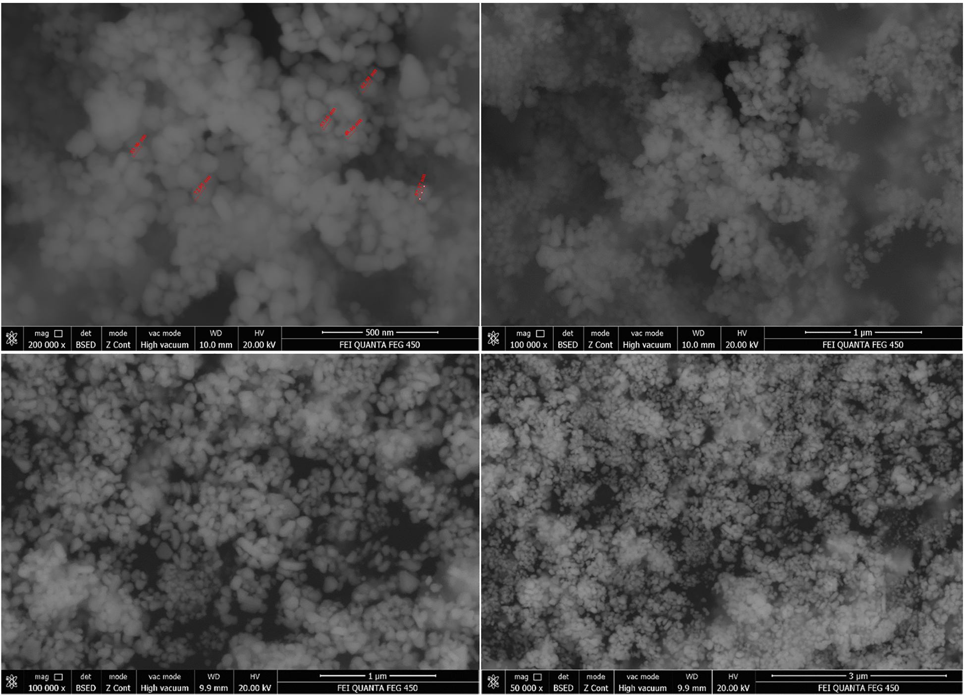 Figure 4: 
SEM image of c-AgNPs.