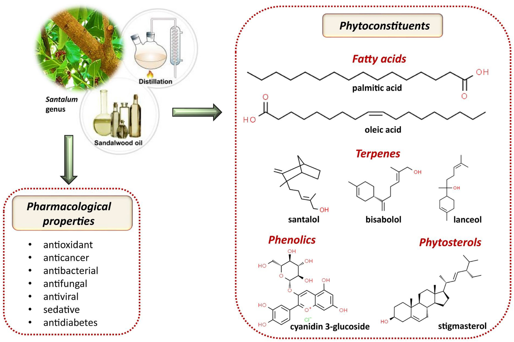Figure 2:
Illustrative scheme with the most important bioactive constituents of Santalum essential oil and their pharmacological properties.