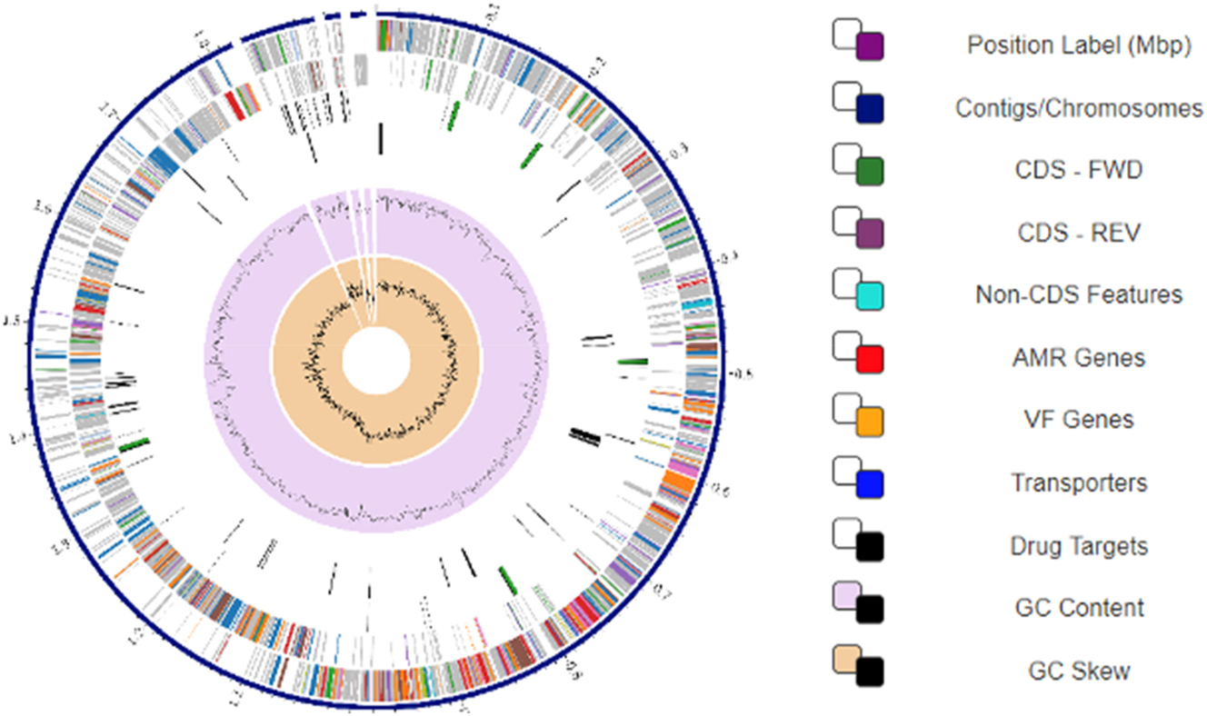 Figure 9: 
Circular map of the BCB1H genome representing the genomic characteristics of genome.
