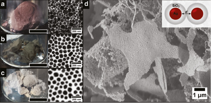 Fig. 2: 
            Photographs and TEM images of cryogelated Ag aerogels without silica shell (a), with a 5 nm silica shell (b) and a 12 nm silica shell (c). The black bar represents 1 cm. Scanning electron microscope image (d) reveals the microscopic morphology of interconnected, one layer thin sheets build from the Ag nanoparticles with a 12 nm silica shell. The inset shows a scheme of two connected nanoparticles.
          