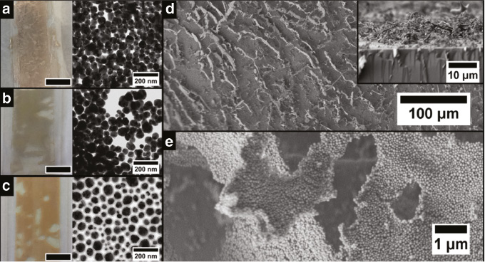 Fig. 3: 
              Photographs and TEM images of doctor-bladed cryogelated Ag aerogel films on a glass substrate without silica shell (a), with a 5 nm silica shell (b) and with a 12 nm silica shell (c). The black bar represents 1 cm. Scanning electron microscope image (d) reveals that the nanoparticle sheets preferably stand perpendicular on the substrate. As can be seen in the inset the thickness of the film is approximately 10 μm. The sheets itself are again build from Ag nanoparticles with a 12 nm silica shell (e) similar to the monolithic aerogels.
            
