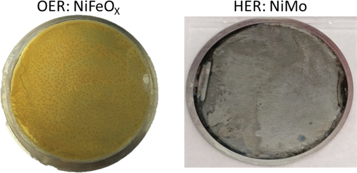 Fig. 24: Photographs of the NiMo (HER) and NiFeOx (OER) catalysts deposited on 50.3 cm2 round Ni sheets for application in the PV-EC cassette system (Figure 9).
