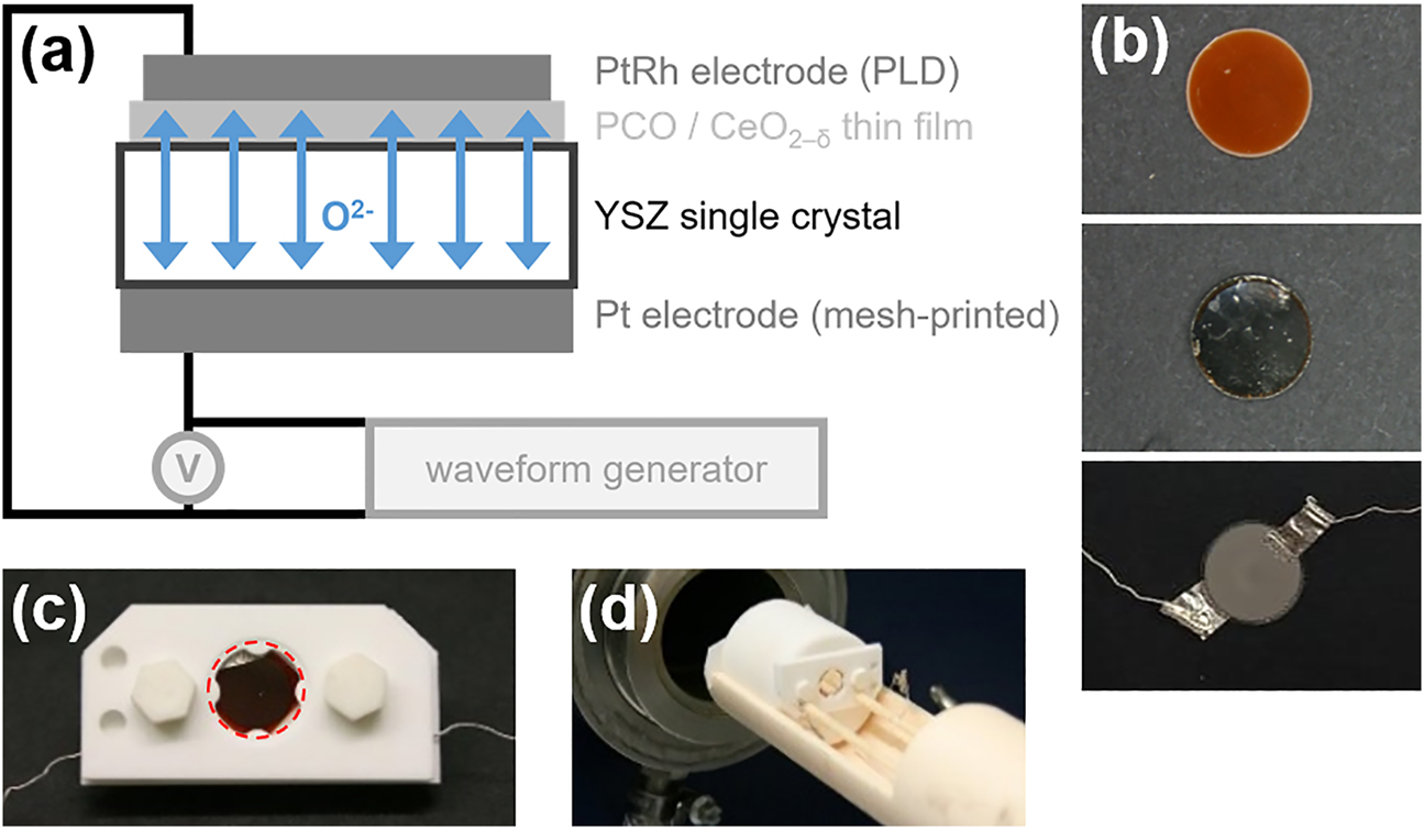 Figure 2: 
(a) Scheme of electrochemical pumping cell, consisting of a YSZ single crystalline substrate, Pt electrodes and PCO or ceria thin films. (b) Image of a PCO thin film. Top: Right after PCO deposition. Middle: A fully electrode-covered PCO thin film sample before measurements. Bottom: An electrode-covered sample after the measurement. Here, the platinum foils for contacting the platinum electrodes remain attached. (c) Sample installed in the alumina sample holder. The red dashed circle indicates the position of the sample. (d) Sample holder attached to the LDV measurement setup.
