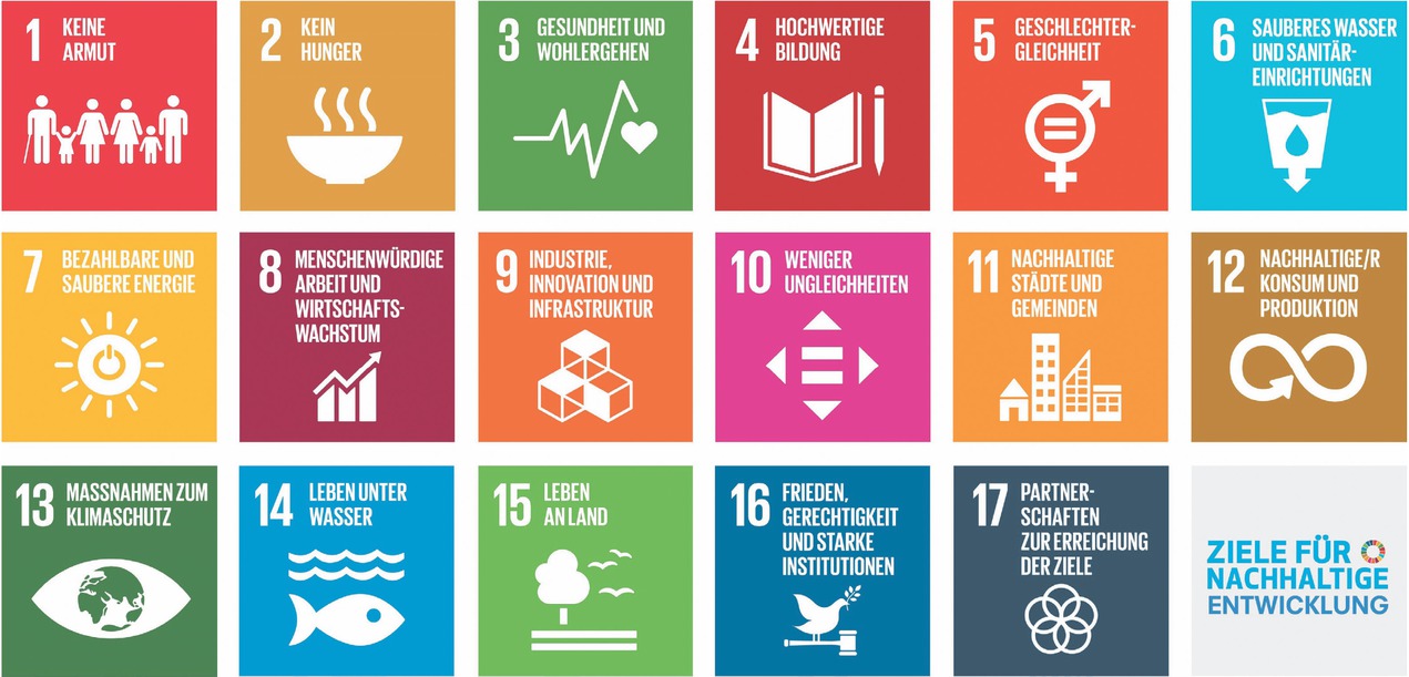Bild 1 Die 17 globalen Nachhaltigkeitsziele – SDGs [19]