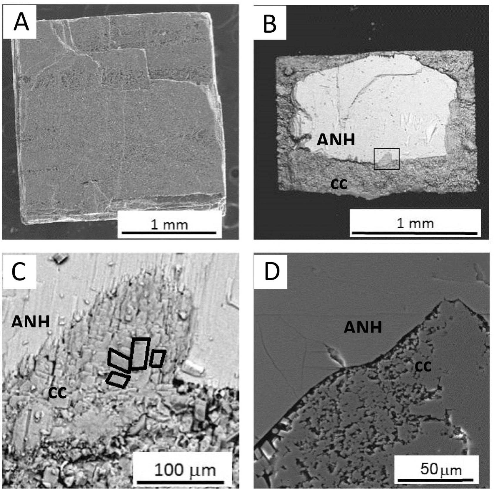 Figure 5 (a) SEM photomicrograph of an anhydrite surface fully replaced by calcite after 24 h interaction with a 0.5 M Na2CO3 aqueous solution. (b) BSE photomicrograph of a section of an anhydrite (ANH) crystal partially replaced by calcite (CC) after 3 days in contact with a 0.5 M Na2CO3 aqueous solution; the rectangle indicates the same area shown in c. (c) BSE photomicrograph of calcite (cc) at the carbonate-anhydrite (ANH) interface. The edge of several calcite crystals have been outlined to highlight their common orientation. (d) SEM photomicrograph of the carbonate-anhydrite interface revealing the porosity associated with the replacement process. The image was acquired from a polished section of a partially replaced anhydrite crystal reacted for three days with a 0.5 M Na2CO3 aqueous solution
