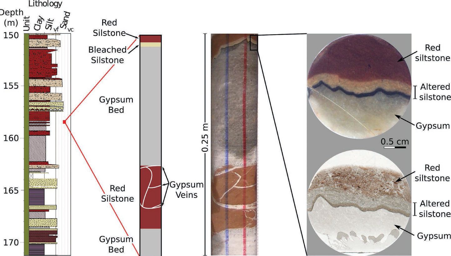 Figure 2 Sedimentary log, core photos, and plane-polarized light (PPL) images of the bleached alteration zone at the upper contact of the gypsum bed. Images show the bleached siltstone reaction zone at the upper contact of a gypsum bed.
