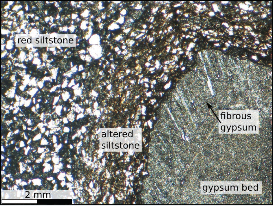 Figure 5 PPL photomicrographs of fibrous gypsum adjacent to the altered siltstone. The occurrence of fibrous gypsum at the contact implies that at one point in time there was an open fracture between these two sedimentary units allowing the flow of reactive fluids.