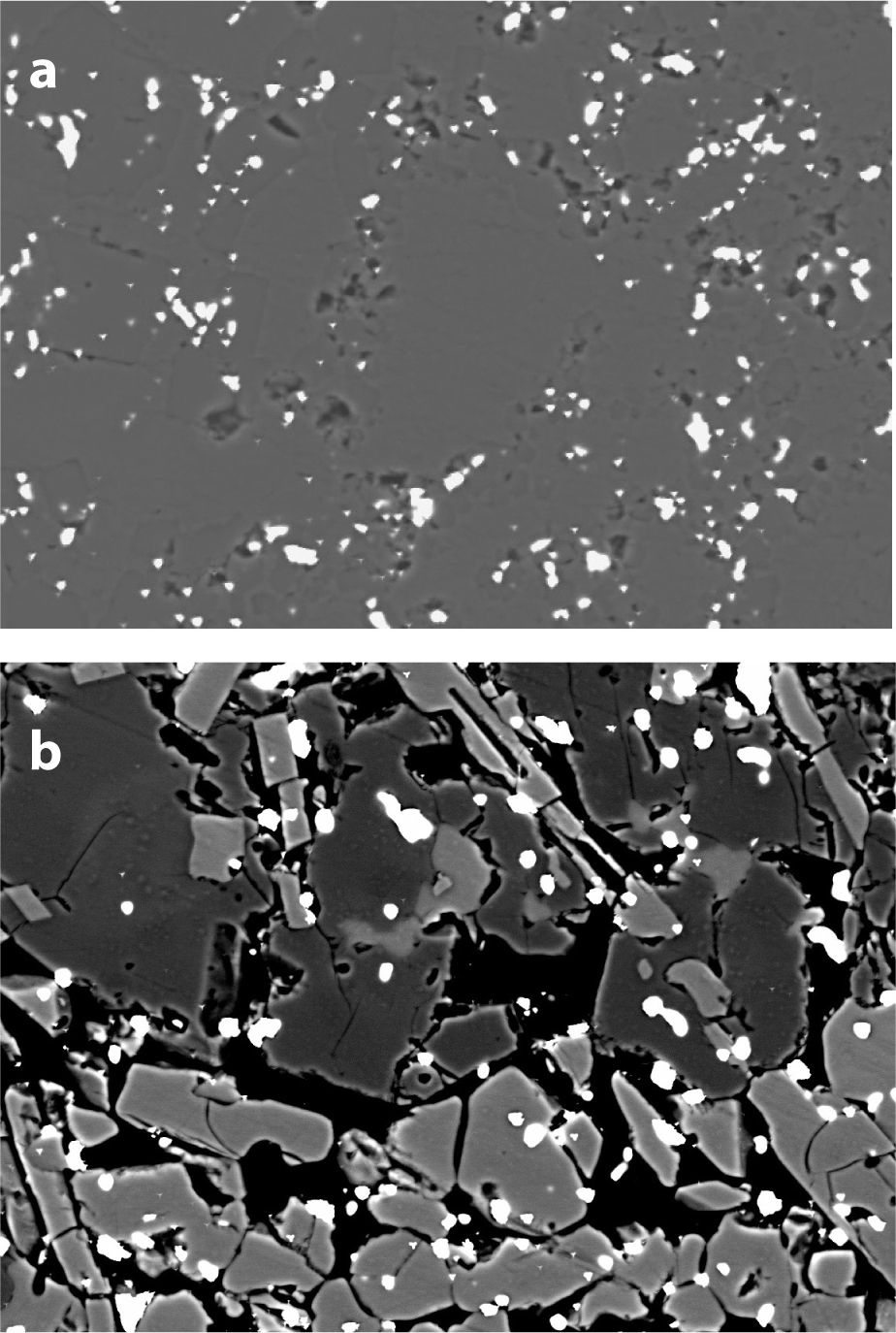 Figure 2 Example backscattered electron microphotographs of quenched sample conditions. (a) White areas are the gold phase used as the pressure reference, while the gray and black areas are MgSiO3 and voids, respectively. Horizontal scale 100 μm, experimental conditions 1200 K and 15.3 GPa. (b) White and black areas are the gold and the void, respectively, and dark and light grays are Mg2SiO4 and SiO2, respectively. Horizontal scale 120 μm. The experimental conditions 1350 K and 17.3 GPa.