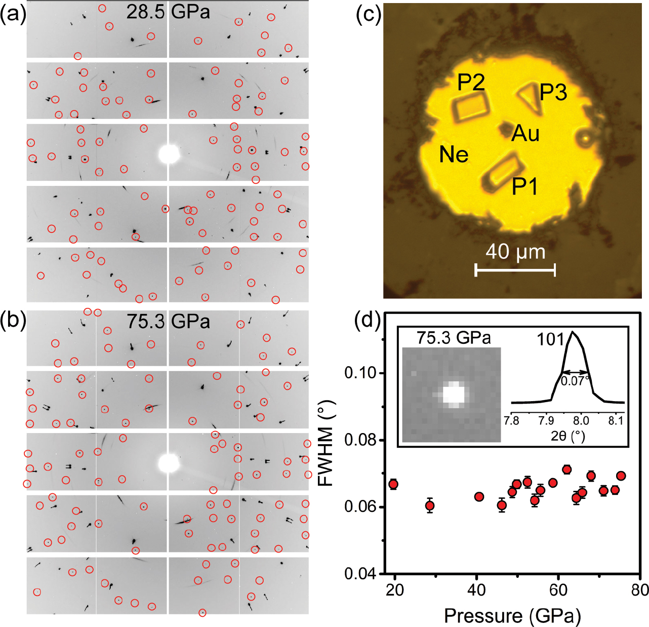 Figure 1 Representative single-crystal X‑ray diffraction data of stishovite and post-stishovite at high pressure. (a and b) These show original diffraction images at 28.5 GPa for stishovite and at 75.3 GPa for post-stishovite, respectively. Sample reflection spots are marked with red open circles. (c) An optical image of the sample chamber showing three crystals (P1, P2, and P3) and gold pressure calibrant (Au) in neon pressure medium (Ne) at 2.8 GPa. (d) Full-width at half maximum (FWHM) of a selected 101 diffraction peak as a function of pressure. FWHM of the peak (red solid circles) remains almost unchanged during compression. The insert panel shows a round 101 reflection spot and its integrated peak with FWHM of 0.07° at 75.3 GPa. These data indicate that the single-crystal quality was preserved in compression up to 75.3 GPa.