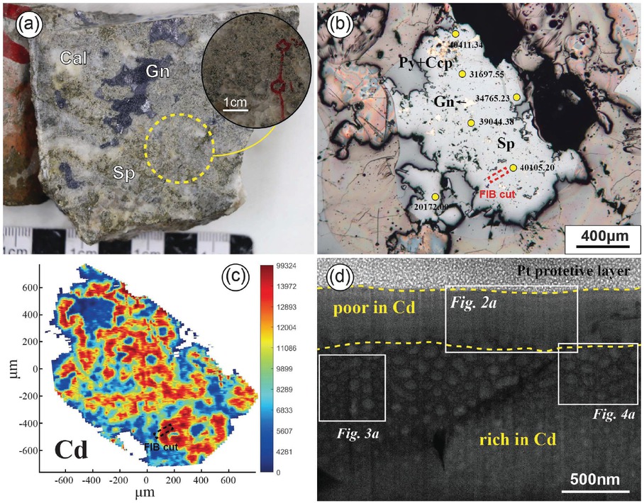 Figure 1 (a) Photograph of disseminated sphalerite from Jinding deposit. (b) Microscope reflected light image of sphalerite (numbers indicate Cd content results from LA-ICP-MS point analysis, in ppm) and FIB sampling position. (c) LA-ICP-MS mapping showing the distribution of Cd in the sphalerite from (b). (d) Dark-field STEM image of the thin foil sample.