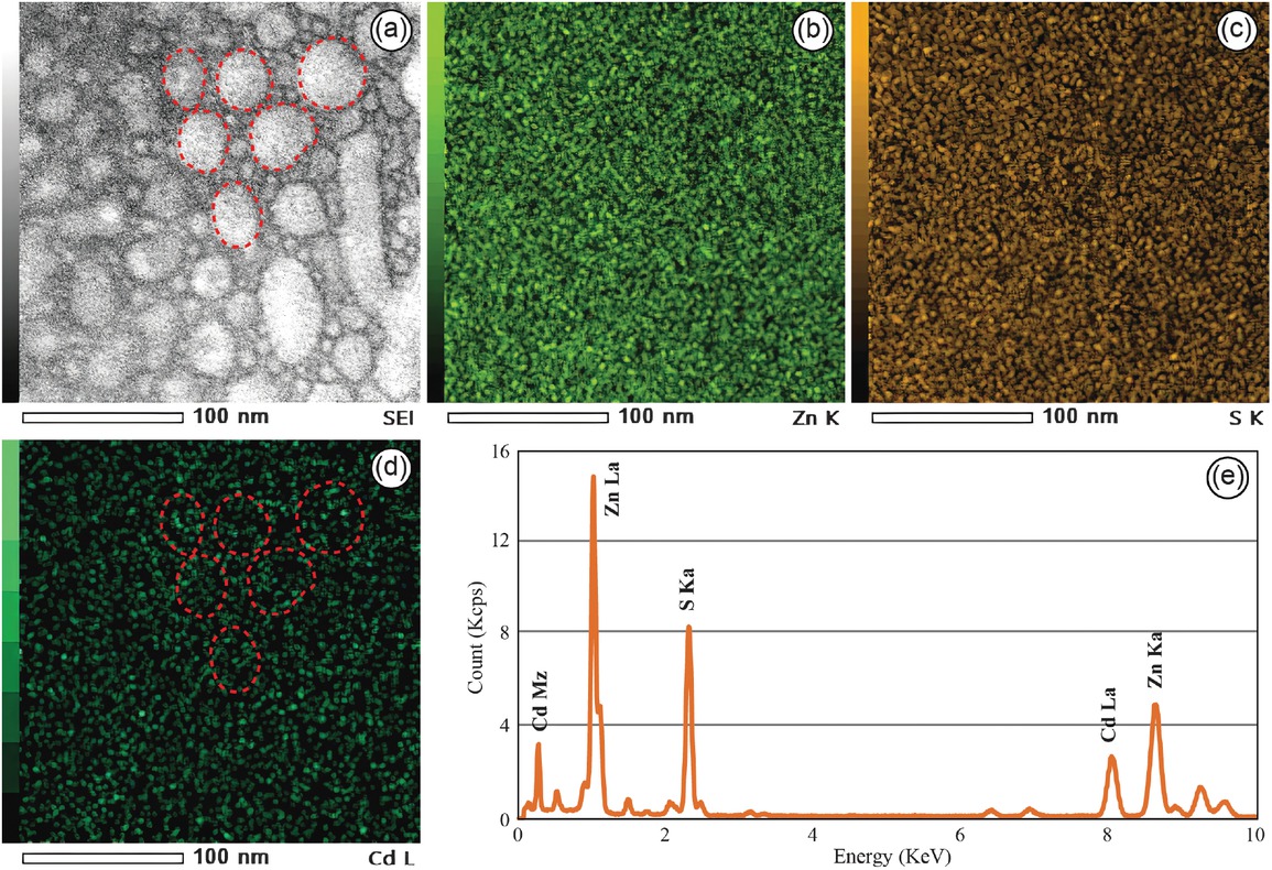 Figure 3 Energy-dispersive X-ray spectroscopy (EDS) mapping image and corresponding energy spectrum for the Cd-rich areas in sphalerite. (a) The secondary electron image (SEI) of the Cd-rich areas in sphalerite. (b–d) The EDS mapping images show the distribution of Zn, S, and Cd in the Cd-rich areas. Especially, the occurrence of localized enrichment of Cd within nanoscale protrusions in (d). (e) The energy spectrum of the Cd-rich areas.