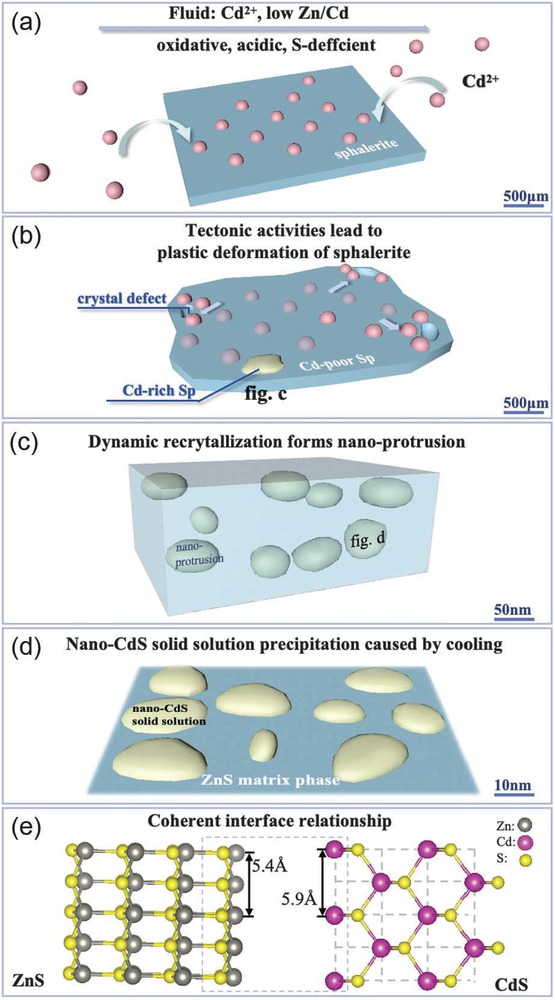Figure 6 Schematic diagram showing supernormal enrichment process of Cd in sphalerite. (a) During the crystallization process of sphalerite, Cd2+ in the fluid enters the lattice of sphalerite. (b) Under the stress caused by tectonic activities, plastic deformation of sphalerite occurs, creating crystal defects and triggering the activation and migration of Cd2+ to accumulate at the crystal defects, forming localized Cd-rich sphalerite. (c) Cd-rich sphalerite originates from the formation of Cd-rich nano-protrusions through dynamic recrystallization. (d) Cooling leads to the precipitation of nano-CdS solid solution within the nano-protrusions. (e)Nano-CdS solid solution exhibits coherent interface relationship with the ZnS matrix.