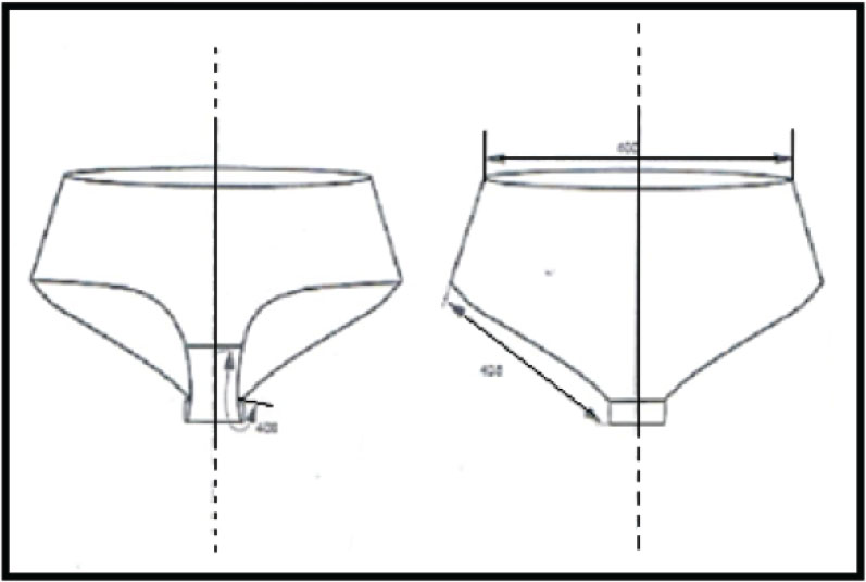 Figure 2 Studied women's panty