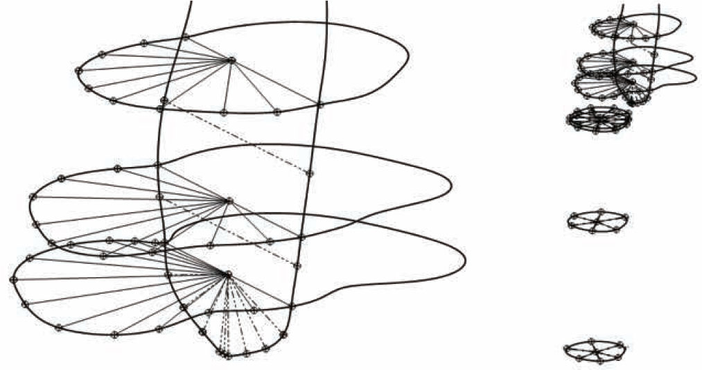 Figure 1 Distribution of the control points assigned to the morphological contours [4]