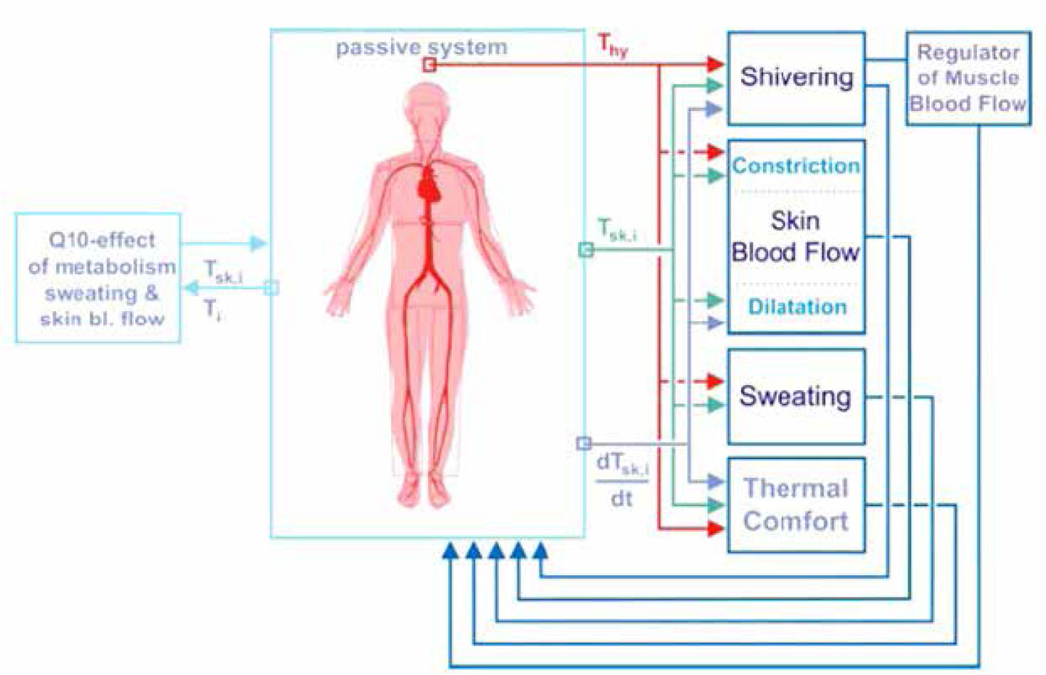 Figure 2 Heat transfer in a manikin.