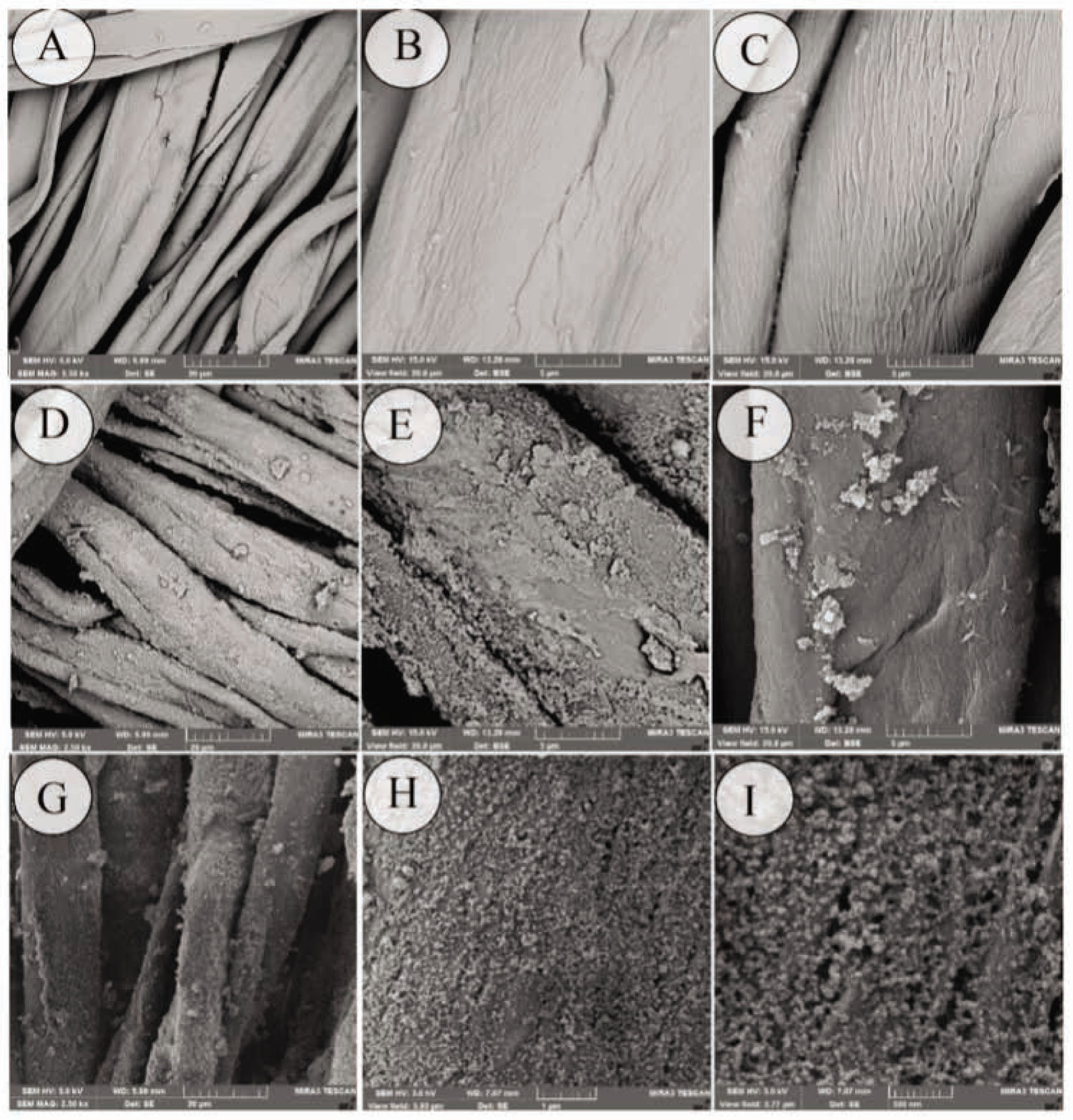 Figure 1 FE-SEM images of various cotton fabric samples: (A and B) raw, (C) treated with corona radiation for 3 min, (D–F) treated with 5 ml titanium isopropoxide without corona pretreatment and (G–I) treated with 5 ml titanium isopropoxide and corona radiation (for 3 min). Note the different magnifications: (A) 2.5 kX, (B) 10 kX, (C) 10 kX, (D) 2.5 kX, (E) 10 kX, (F) 10 kX, (G) 2.5 kX, (H) 20 kX and (I) 30 kX.