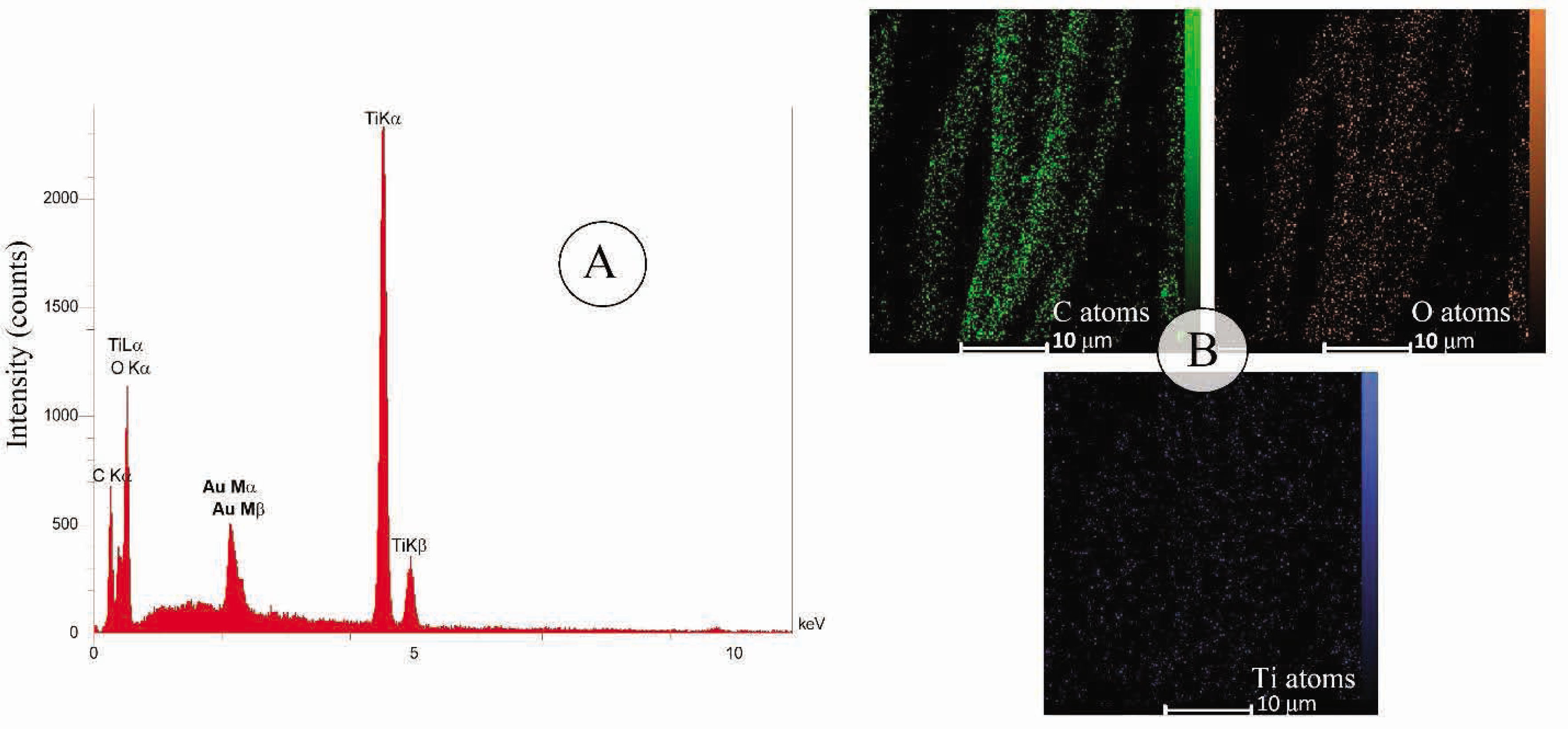Figure 2 EDS spectrum (A) and X-ray mapping images (B) of treated cotton fabric with titania (5 ml titanium isopropoxide) and corona radiation (for 3 min).