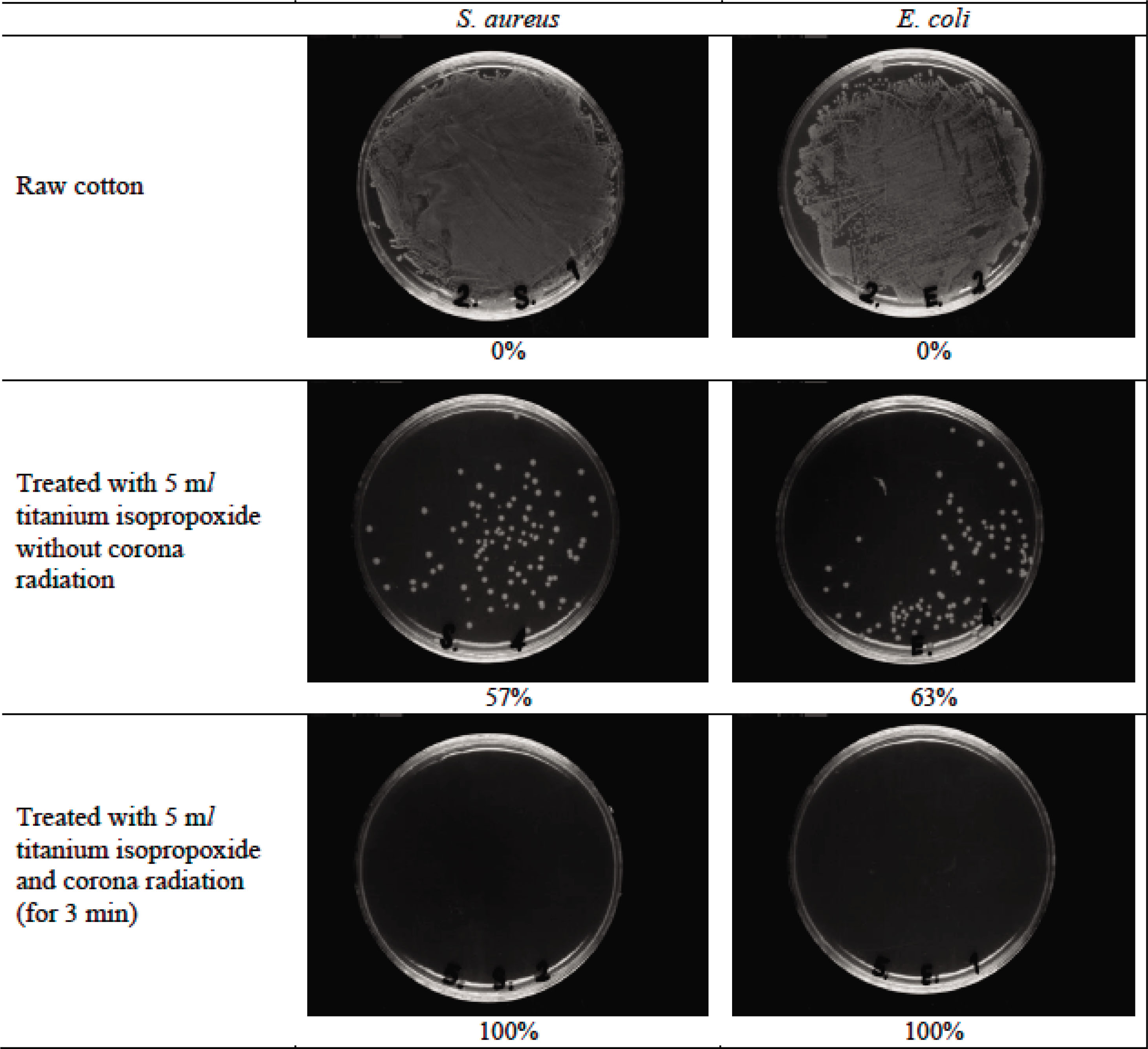 Figure 5 Antibacterial activity measurement of raw and treated cotton fabrics.