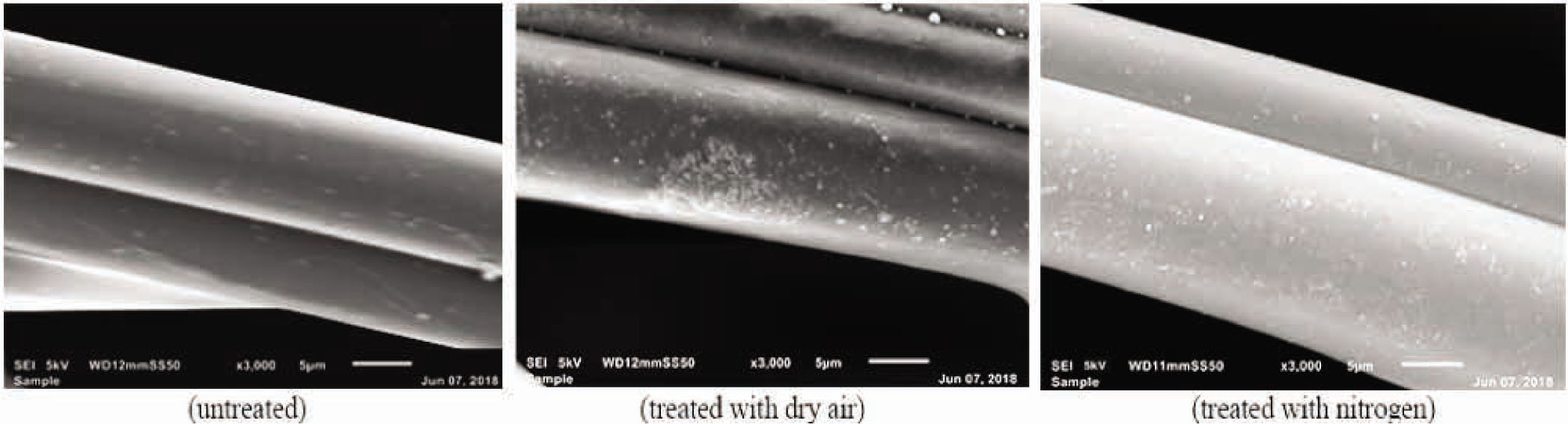 Figure 4 SEM images of untreated and plasma-treated (air and nitrogen) samples.