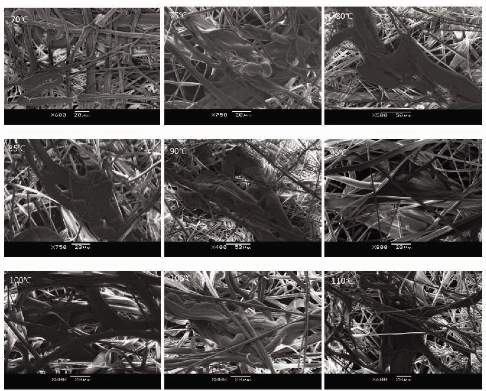 Figure 4 SEM images of fabric charged in the range of 70–110°C.